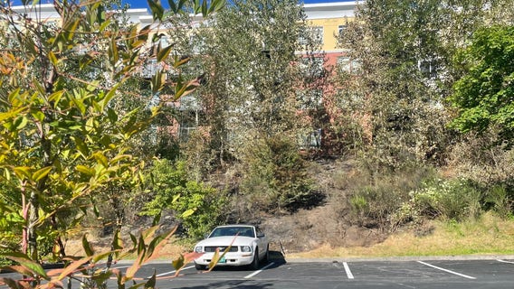 Illegal fireworks spark brush fire, threaten Renton apartment building