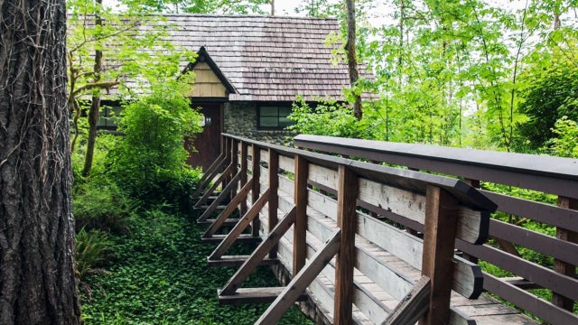 Man arrested after woman's body found in WA state park