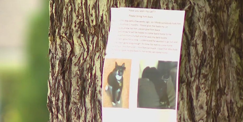 WA police warn of scam targeting ‘missing pet’ posters