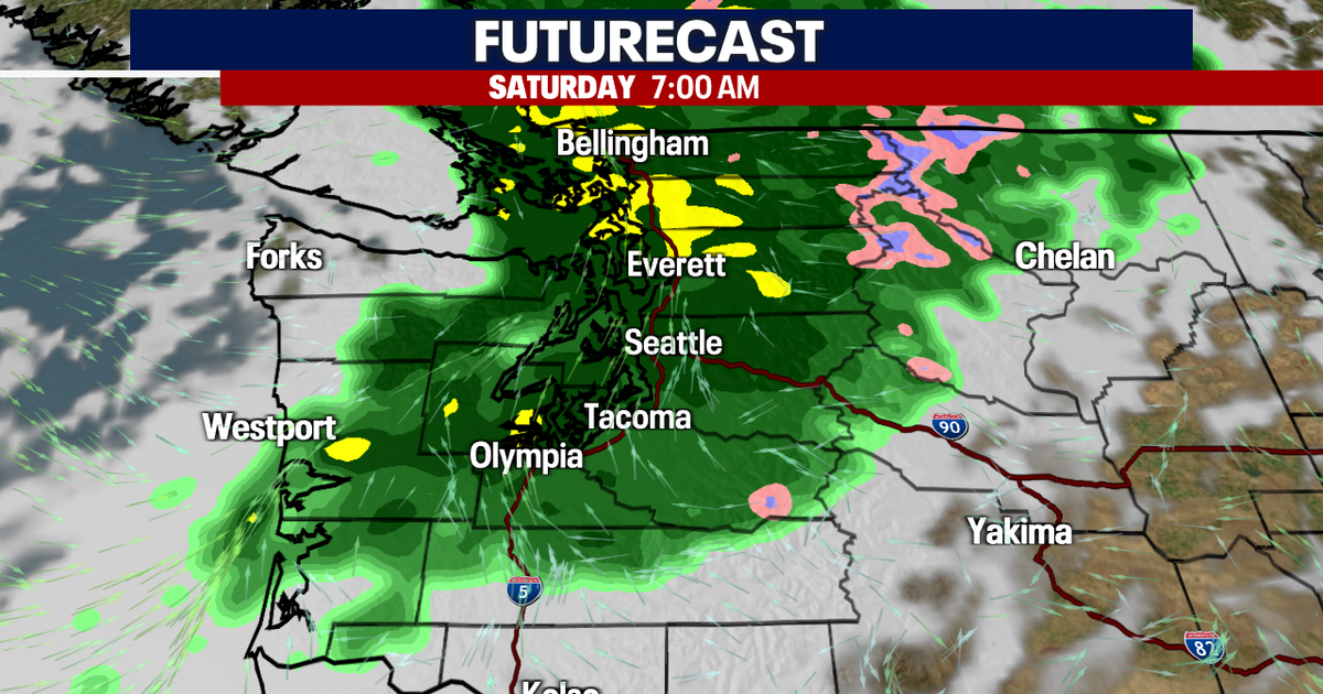 Seattle Weather: A Soggy Saturday in Seattle | FOX 13 Seattle
