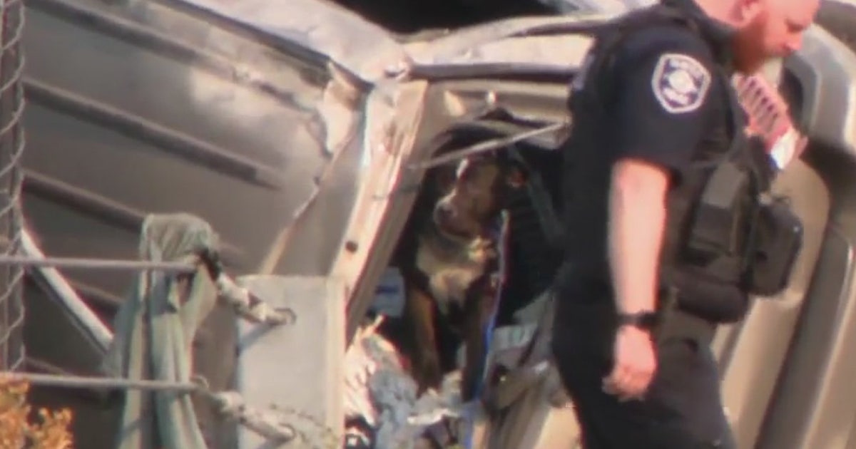 Driver flees from troopers, kills passenger in Seattle crash | FOX 13 ...