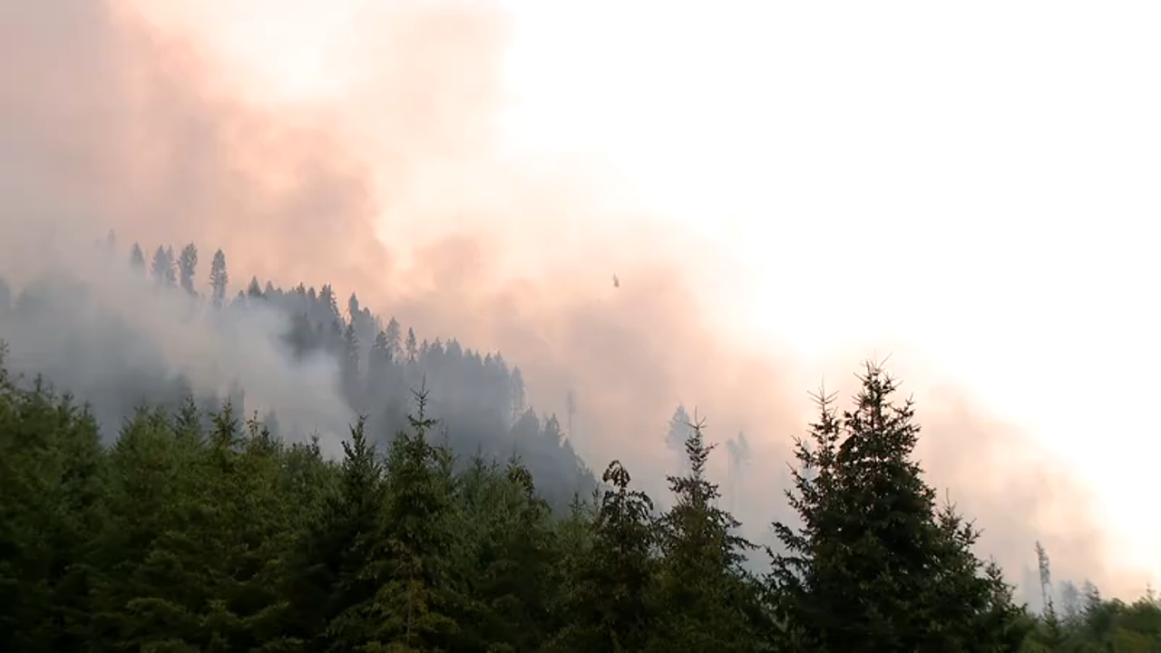 Wildfire in Olympic National Forest triples in size | FOX 13 Seattle