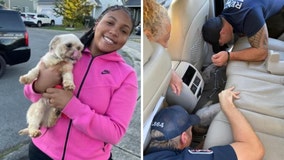 Renton firefighters rescue puppy stuck under back seat