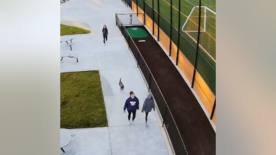 Dog attack at Bonney Lake, animal services asks for help