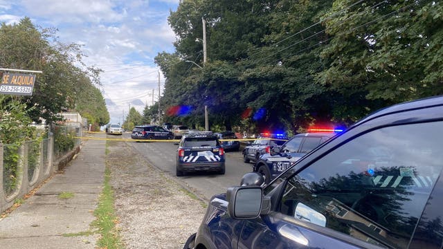 Plumber 'picked up bat' to stop Seattle carjacking suspect accused of killing dog-walker