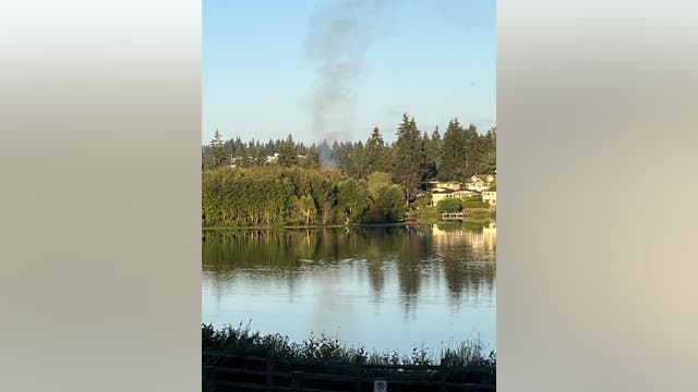 Lake Ballinger brush fire out after rapid firefighting