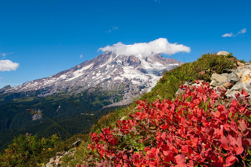 WA park officials cancel timed entry to Mount Rainier National Park