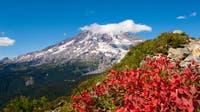 WA park officials cancel timed entry to Mount Rainier National Park