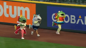 Seattle Mariners' Salmon Run: Why Humpy the fish never wins