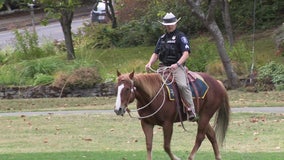 Seattle Police Department ends Mounted Patrol Unit after 150 years