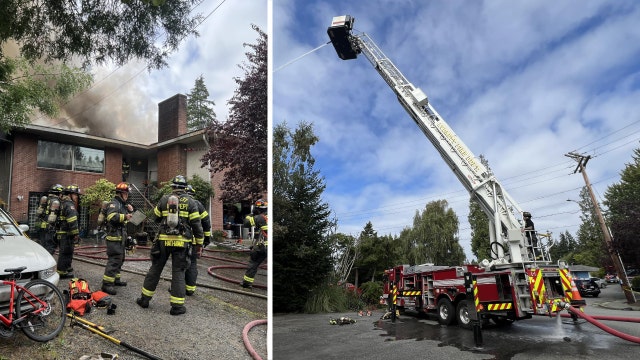 Everett WA triplex fire causes pet deaths, roof collapse
