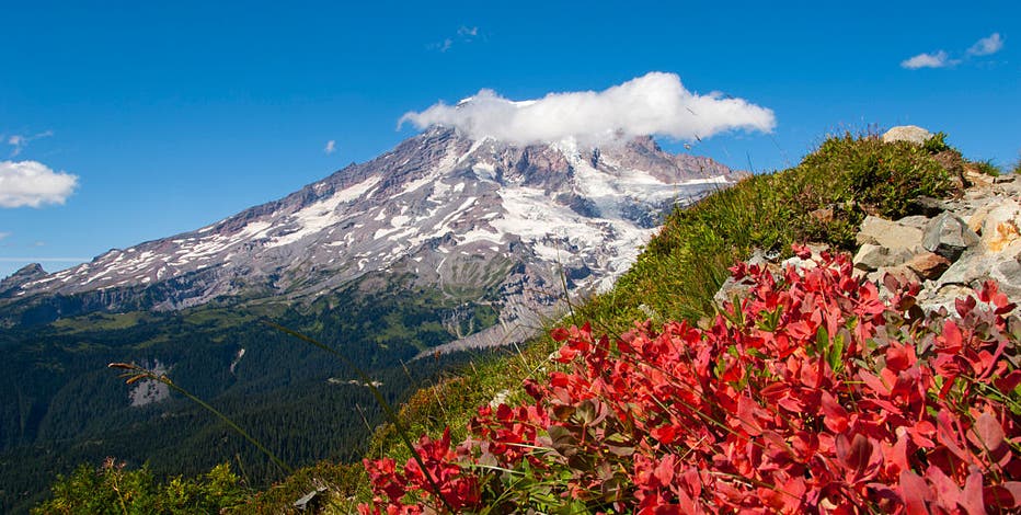 Here's when the fall leaves will reach peak color in western WA