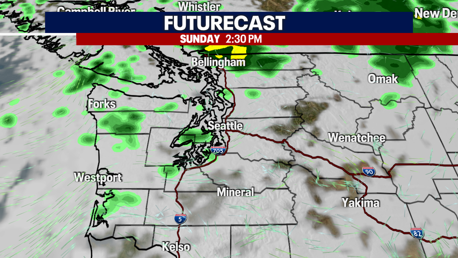 A map showing rain showers in Western Washington on Sunday.
