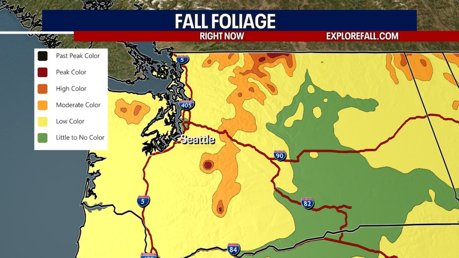 The fall colors are peaking in a few spots around Washington. 