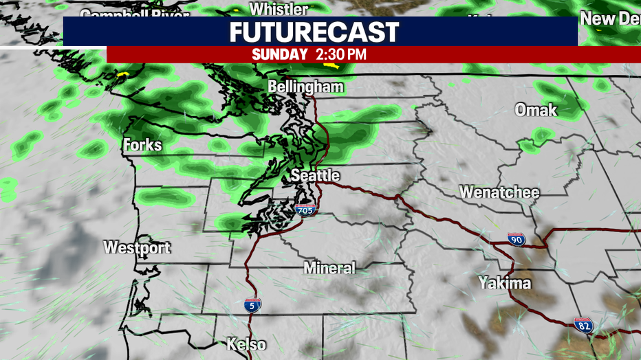 A map showing rain showers in Western Washington on Sunday.