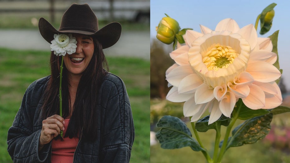 Kelsey Hall, owner of Cattle and Cut Flowers in Enumclaw, Washington, with her newly discovered animal "daffodil" Flower.