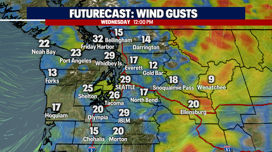 Wind Gust Forecast