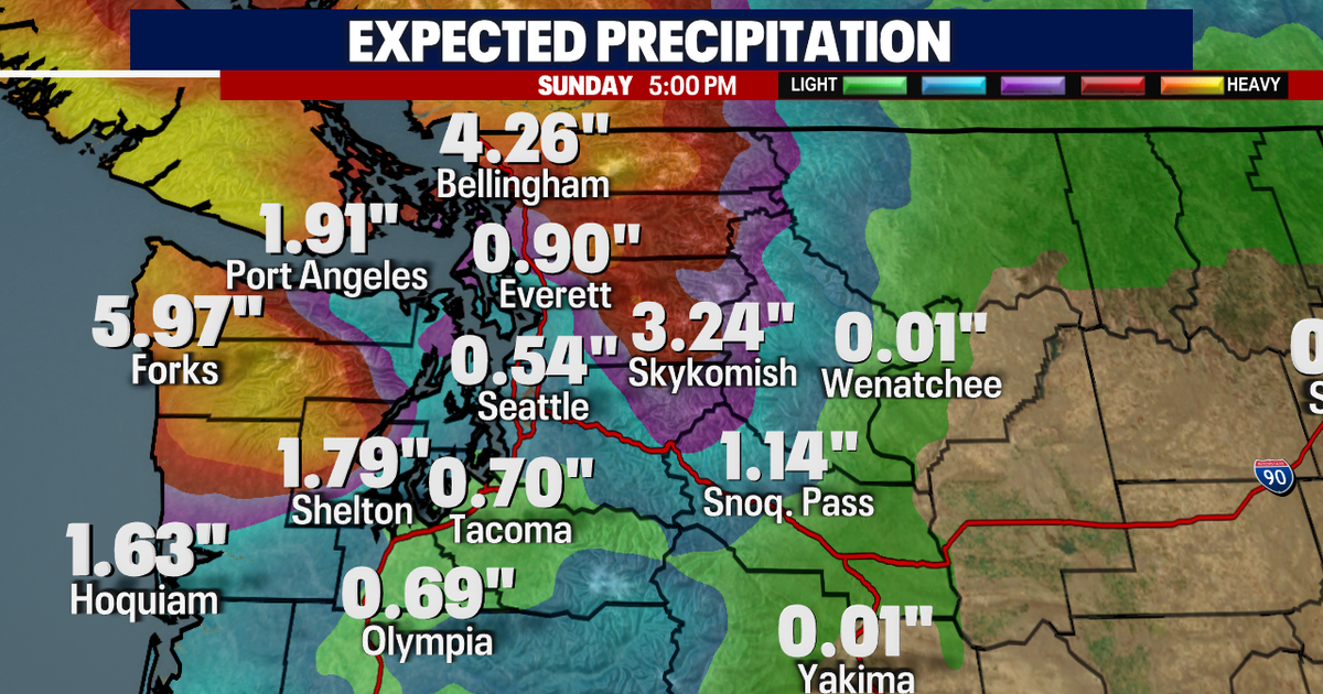 Seattle weather: Gusty wind and heavy rain approaching | FOX 13 Seattle