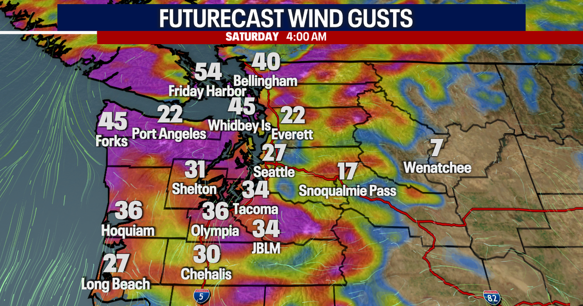 Rain, gusty winds to hit Seattle Friday night into Saturday | FOX 13 ...