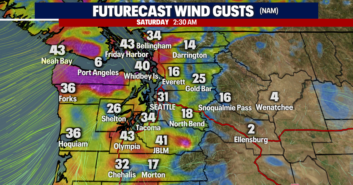 Stormy weather to bring gusty wind, heavy rain this weekend | FOX 13 ...