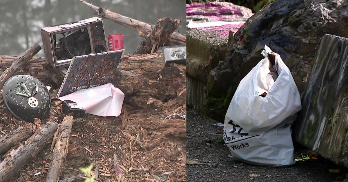 Community cleans up illegal dumping on Green Mountain | FOX 13 Seattle