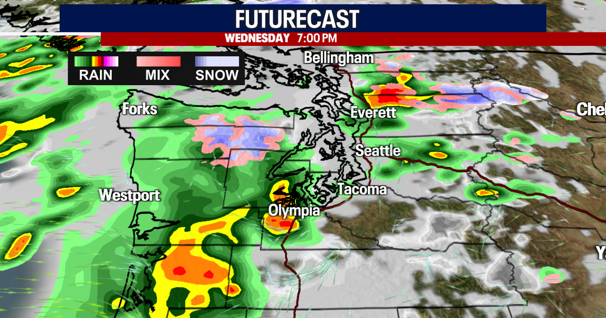 Damp and soggy in Seattle with mountain snow | FOX 13 Seattle