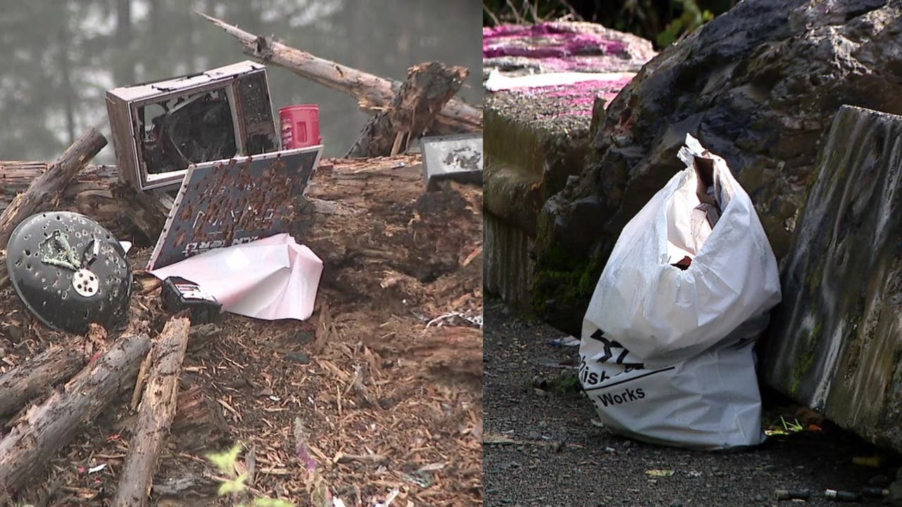Community cleans up illegal dumping on Green Mountain | FOX 13 Seattle