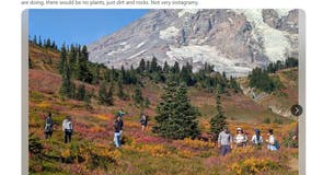 Photo frenzy at WA's Mt. Rainier raises alarm over environmental damage