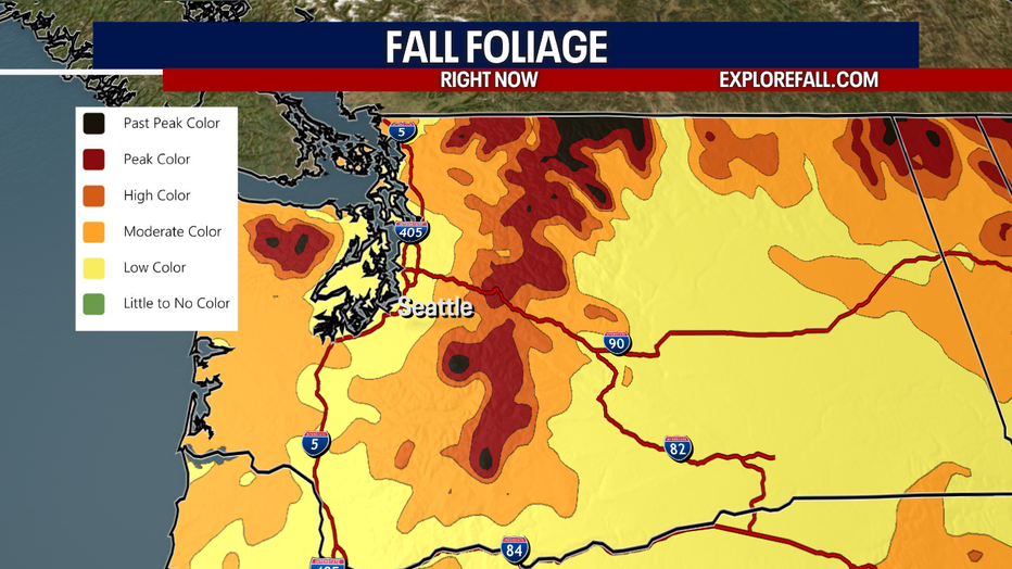 A map showing the areas in Western Washington that are nearing peak color.