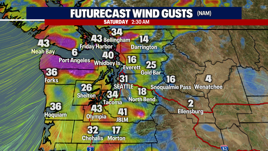 A map showing the Futurecast for wind gusts in Western Washington early Saturday morning.