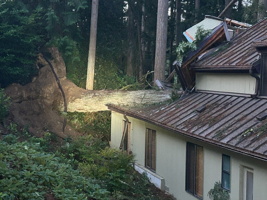 WA bomb cyclone: 2 hurt after tree falls onto trailer | FOX 13 Seattle