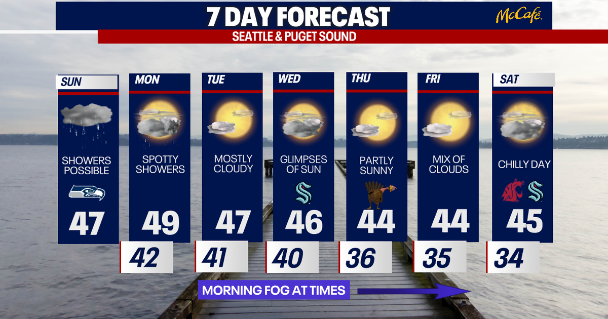 Damp, dark and chilly weather pattern in Seattle through Monday | FOX ...