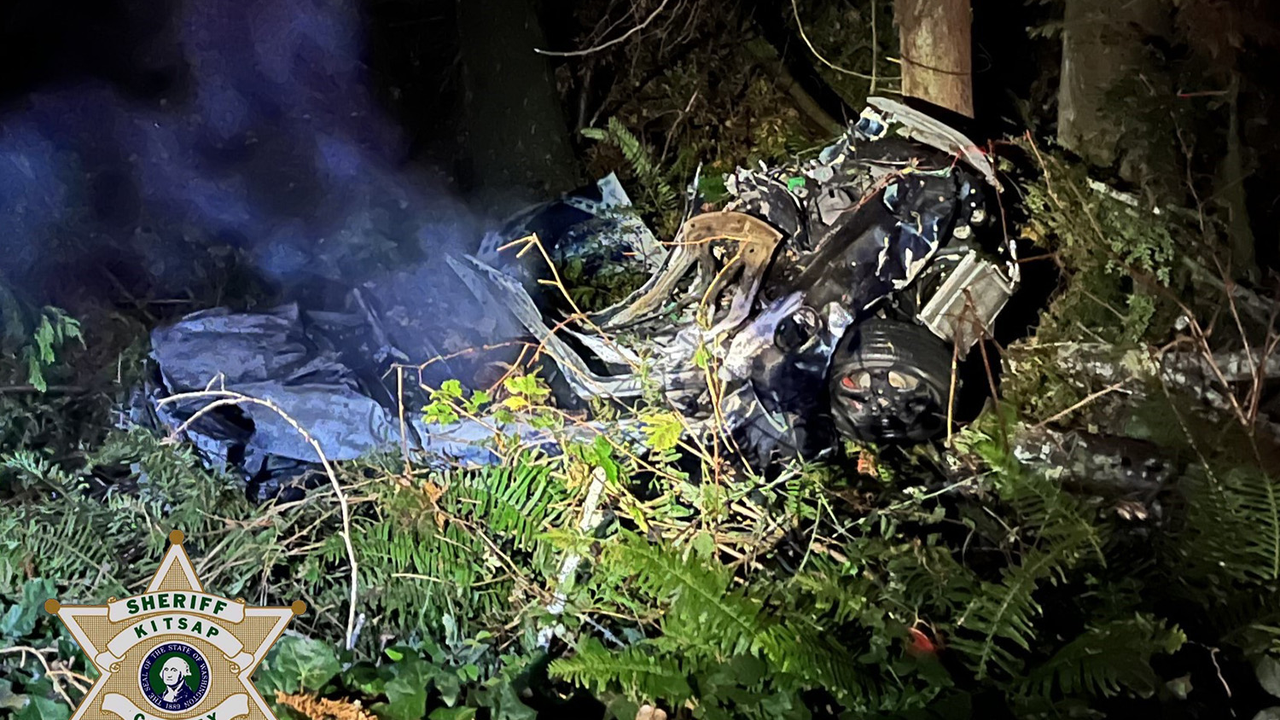 2 people, 1 dog dead in fiery Kitsap County crash FOX 13 Seattle