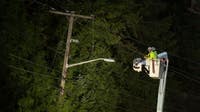 Wind storm knocks out power to 500K in WA, OR