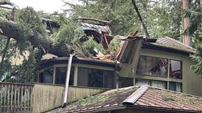 Deadly storm slams western Washington, topples trees, kills 2