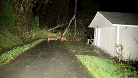 Slide brings down trees, blocks road on Camano Island