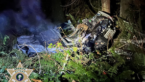 2 people, 1 dog dead in fiery Kitsap County, WA crash