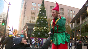 Tree lighting ceremony kicks off holiday season in Seattle