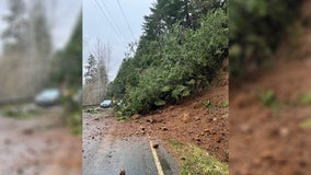 Landslide blocks lanes on SR-106 in Mason County, WA