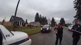 Video shows Tacoma police chase loose pig through town