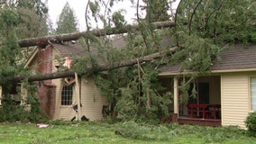 King County hits $11M in storm damage, meeting threshold for FEMA aid