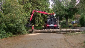 Crews remove fallen trees in western WA as they prepare for more wind