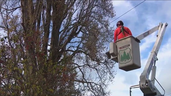 ‘Bomb cyclone’: Preparing for power outages, trees and property damage