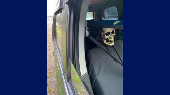 WA HOV violator used skeleton head in passenger seat