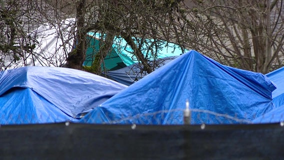 Tukwila, WA passes city camping ban with jail time, $1k fine