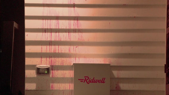 University of Washington president's car, home vandalized