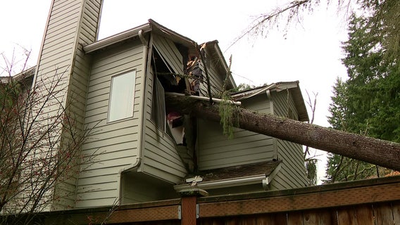 Gov. Inslee seeks more time from FEMA to assess WA bomb cyclone damage
