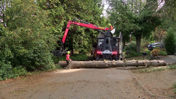 Crews remove fallen trees in western WA as they prepare for more wind