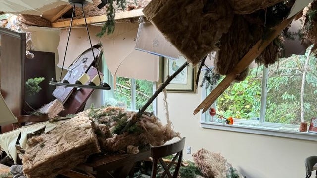 Trees topple onto family homes in Mirrormont, WA