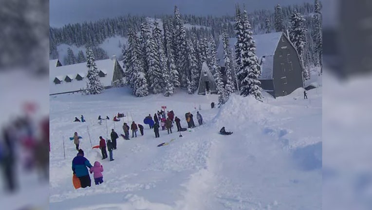 Families enjoy sledding in the Paradise sledding area. (Photo: National Park Service)